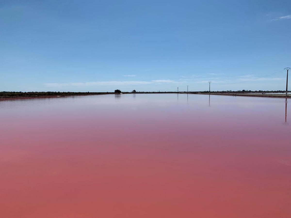 Cabane Maia Aigues Mortes Eksteriør billede